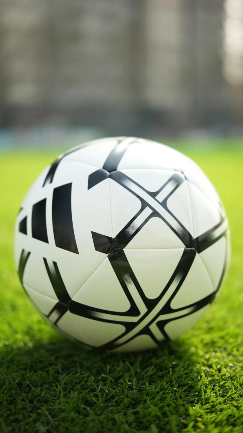 用户使用足球预测应用